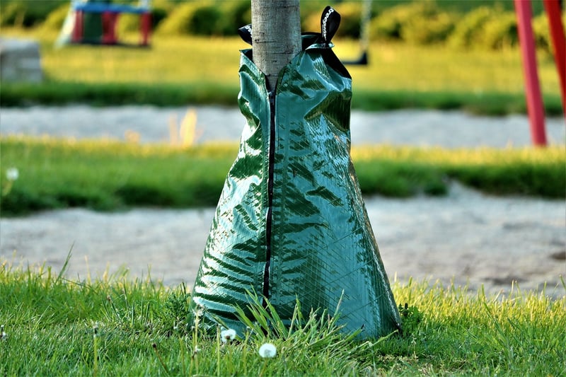 Drip Irrigation